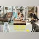 Download 28 Cat Photoshop Overlays CreativeMarket - 6737913