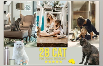 Download 28 Cat <span class='badge badge-warning'>Photoshop</span> <span class='badge badge-warning'>Overlays</span> CreativeMarket - 6737913