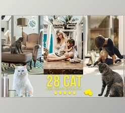 Download 28 Cat Photoshop Overlays CreativeMarket - 6737913
