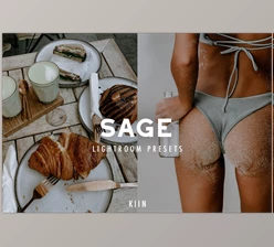 Download 12 SAGE LIGHTROOM PRESETS CreativeMarket - 6853881