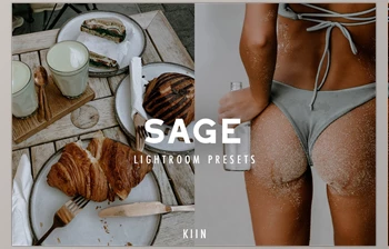 Download 12 SAGE <span class='badge badge-warning'>LIGHTROOM</span> <span class='badge badge-warning'>PRESETS</span> CreativeMarket - 6853881