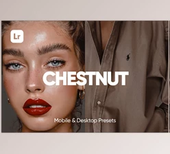 Download 6 CHESTNUT LIGHTROOM PRESETS CreativeMarket - 6734081