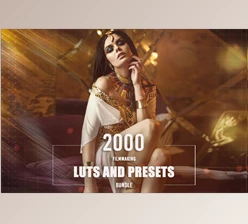 Download 2000 Filmmaking LUTs and Presets Bundle