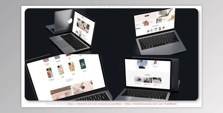 Download Silver Web Promo (Videohive 36572175) - AE Project