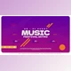 Download Music Festival Event Promo (Videohive 36572197) - AE Project