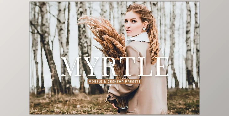 Download Myrtle Pro Lightroom Presets CreativeMarket - 7091216