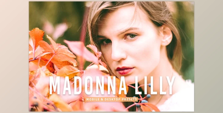 Download Madonna Lilly Pro Lightroom Presets CreativeMarket - 7079835