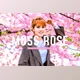Download Moss Rose Pro Lightroom Presets CreativeMarket - 7075193