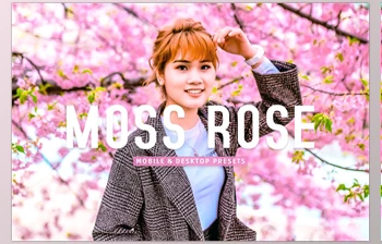 Download Moss Rose <span class='badge badge-warning'>Pro</span> <span class='badge badge-warning'>Lightroom</span> <span class='badge badge-warning'>Presets</span> CreativeMarket - 7075193