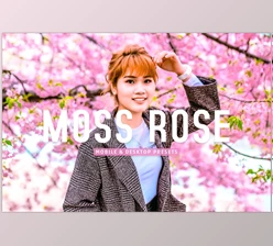 Download Moss Rose Pro Lightroom Presets CreativeMarket - 7075193