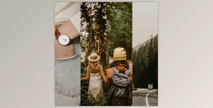 Download Jungle Presets – Minimal Brown Collection (LR Desktop & Mobile)