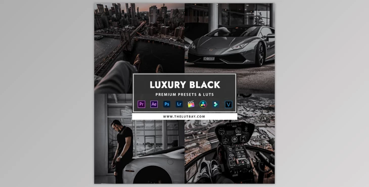 Download TheLutBay – Luxury Black Preset