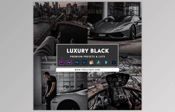 Download <span class='badge badge-warning'>TheLutBay</span> – Luxury Black Preset