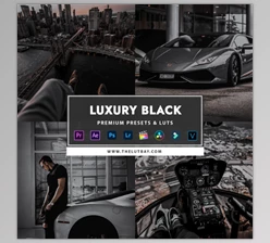 Download TheLutBay – Luxury Black Preset