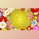 Download Spring Flowers Titles (Videohive 36766429) - AE Project