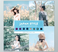 Download Thelutbay – JAPAN STYLE