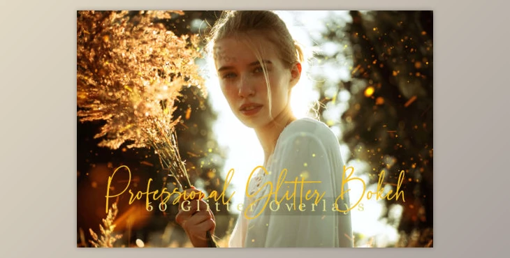 Download 60 Professional Glitter Overlays