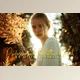 Download 60 Professional Glitter Overlays