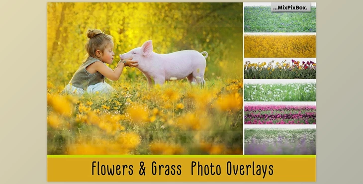 Download Flowers and Grass Overlays CreativeMarket - 6120187
