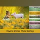 Download Flowers and Grass Overlays CreativeMarket - 6120187