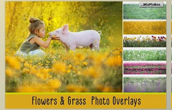 Download Flowers and Grass <span class='badge badge-warning'>Overlays</span> CreativeMarket - 6120187