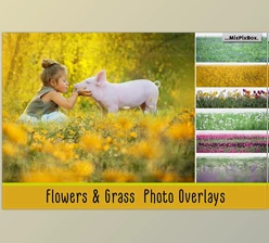 Download Flowers and Grass Overlays CreativeMarket - 6120187