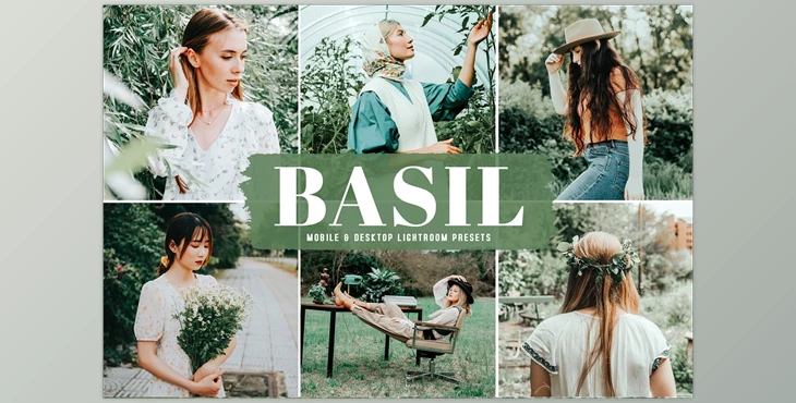 Download Basil Pro Lightroom Presets