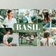 Download Basil Pro Lightroom Presets