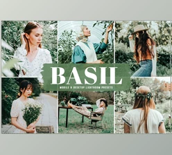 Download Basil Pro Lightroom Presets
