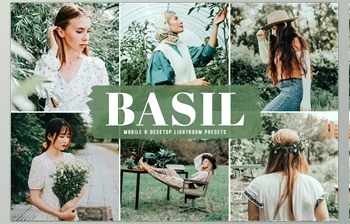 Download Basil <span class='badge badge-warning'>Pro</span> Lightroom Presets