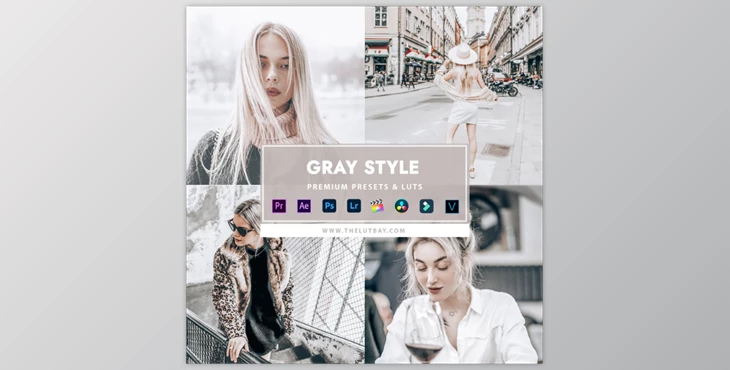 Download Thelutbay – GRAY STYLE