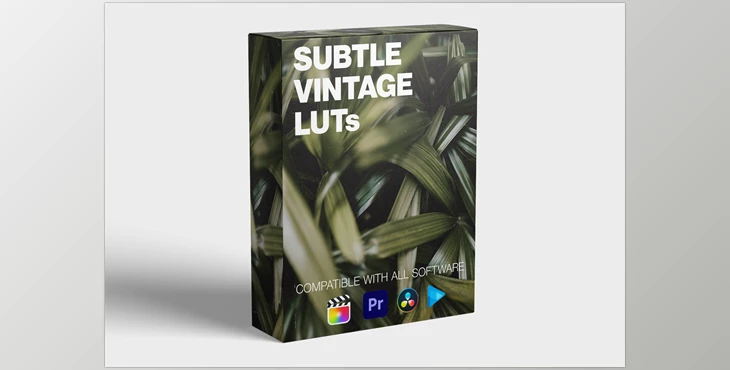Download Subtle Vintage LUT Pack - FCPX Full Access
