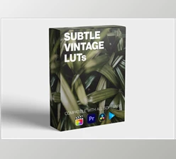 Download Subtle Vintage LUT Pack - FCPX Full Access