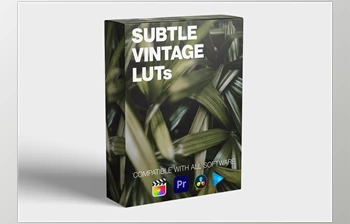 Download Subtle Vintage <span class='badge badge-warning'>LUT</span> <span class='badge badge-warning'>Pack</span> - FCPX Full Access
