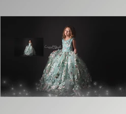 Download Summerana: Fairy Brushes and actions