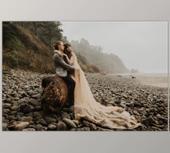 Download DVLOP – India Earl – Honey Presets