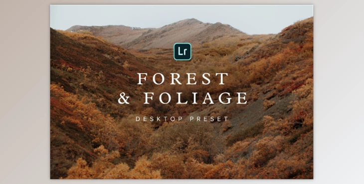 Download Forest & Foliage Preset – Desktop – Chris Henry Photography