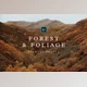 Download Forest & Foliage Preset – Desktop – Chris Henry Photography