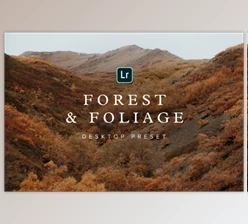 Download Forest & Foliage Preset – Desktop – Chris Henry Photography