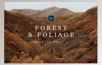 Download Forest & Foliage <span class='badge badge-warning'>Preset</span> – Desktop – Chris Henry Photography