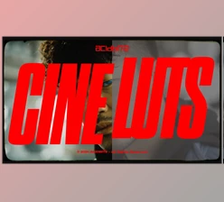 Download AcidBite – CINE LUTS