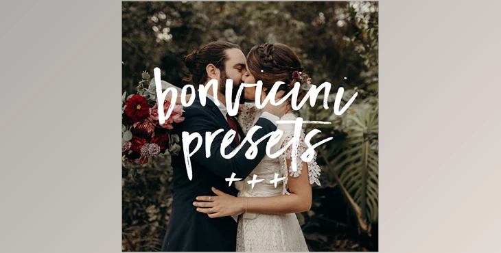 Download BONVICINI LR Presets — victoria bonvicini photography