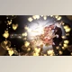Download Romantic Slideshow (Videohive 30631741) - AE Project