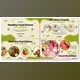 Download Ready For Health Food (Videohive 36923266) - AE Project