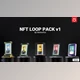 Download NFT Loop Mockup v1 (Videohive 36353175) - AE Project