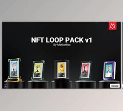 Download NFT Loop Mockup v1 (Videohive 36353175) - AE Project