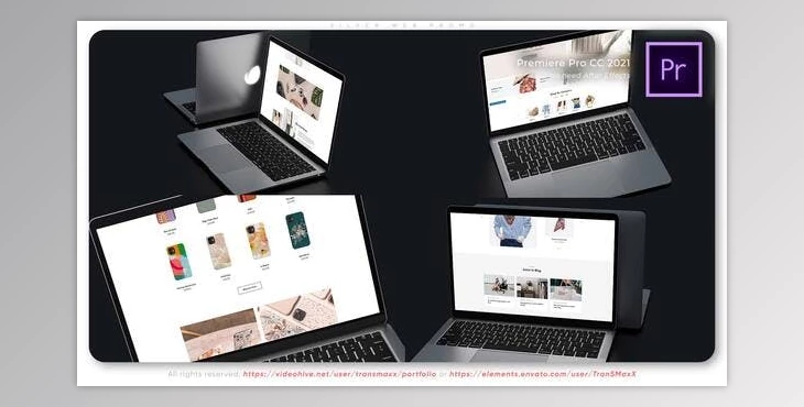 Download Silver Web Promo (VideoHive 37138855)