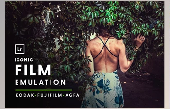 Download Film EMULATION – <span class='badge badge-warning'>Lightroom</span> <span class='badge badge-warning'>Presets</span> CreativeMarket - 5903125