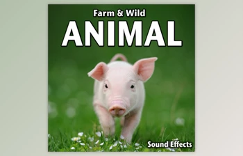 Download <span class='badge badge-warning'>Sound</span> Ideas Farm & Wild Animal <span class='badge badge-warning'>Sound</span> <span class='badge badge-warning'>Effects</span> FLAC