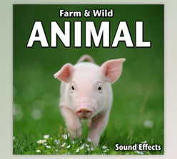 Download Sound Ideas Farm & Wild Animal Sound Effects FLAC